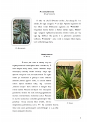 www.speros.lt